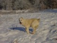 /album/fotogaleria/mix-118-jpg/